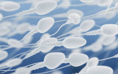 Een Spermadonor, Veilig of Niet?